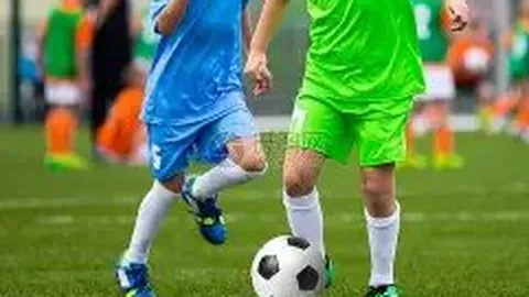 揭秘免费盛宴背后的数据迷局：帕罗对决悬念迭起，未来走向成谜！