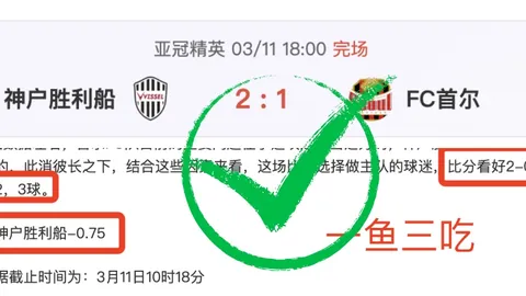 安切洛蒂直言对战亚特兰大欧超杯遭遇巨大考验，盛赞对手强劲实力。