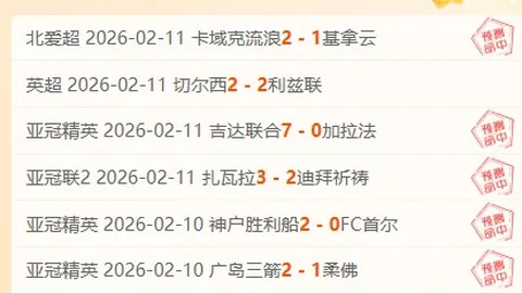 “申花激战中甲强队，四场鏖战及同城对决，路易斯缺席 斯帅续约前景蒙阴影”